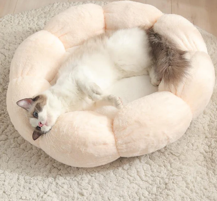 Fluffy Bliss Donut Pet Bed