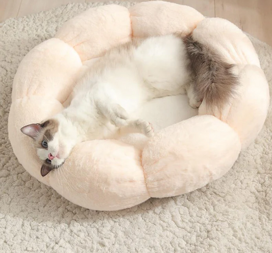 Fluffy Bliss Donut Pet Bed